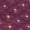 Rust Red Chinon Indo Western